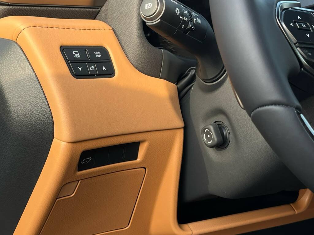 LEXUS LX600 SIGNATURE GREEN IN TAN 2025